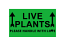 LIVE PLANTS Please Handle with Love - Green 4x2 inch, 500 Labels 