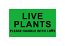 LIVE PLANTS Please Handle with Love | 3"x5" Green Stickers | 250 Labels Per Roll | Free Shipping! 
