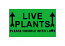 LIVE PLANTS Please Handle with Love (This Side Up Arrow) | 2x4 inch (2"x4") Green Stickers | Self-Adhesive | 300 Labels Per Roll | Free Shipping! 