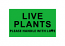 LIVE PLANTS Please Handle with Love | 2x4 inch (2"x4") Green Stickers | Self-Adhesive | 300 Labels Per Roll | Free Shipping! 
