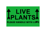 LIVE PLANTS Please Handle with Love (This Side Up Arrow) | 3"x5" Green Stickers | 250 Labels Per Roll | Free Shipping!